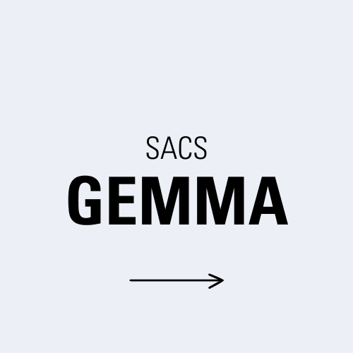 BOLSAS GEMMA